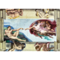 1000 Piece Jigsaw Puzzles Art Collection, The Creation of Adam by Michelangelo, Sistine Chapel, Art Puzzles, Adult Puzzles, Trefl 10590